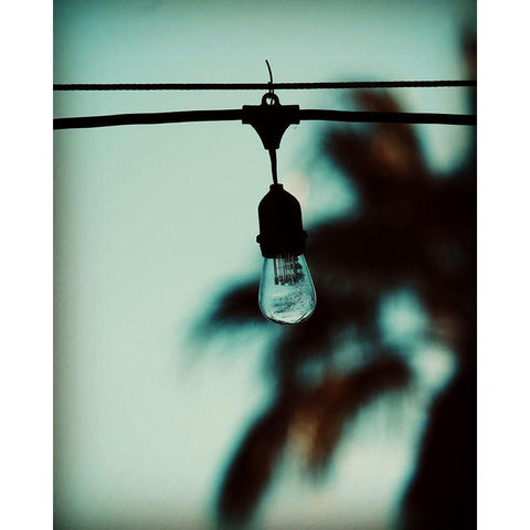 Twinkle Light Black Modern Wood Framed Art Print by Singleton, Ashley