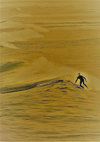 Surfer II Black Ornate Wood Framed Art Print with Double Matting by Singleton, Ashley