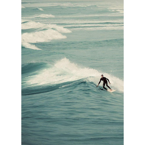 Surfer III Gold Ornate Wood Framed Art Print with Double Matting by Singleton, Ashley
