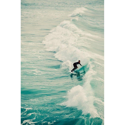 Surfer IV Gold Ornate Wood Framed Art Print with Double Matting by Singleton, Ashley