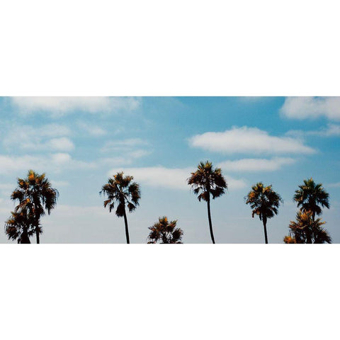 Palm Trees II Black Modern Wood Framed Art Print with Double Matting by Singleton, Ashley