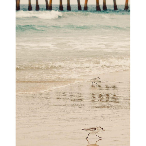 Bird White Modern Wood Framed Art Print by Singleton, Ashley