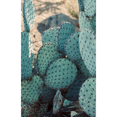 Cactus II Black Modern Wood Framed Art Print with Double Matting by Singleton, Ashley