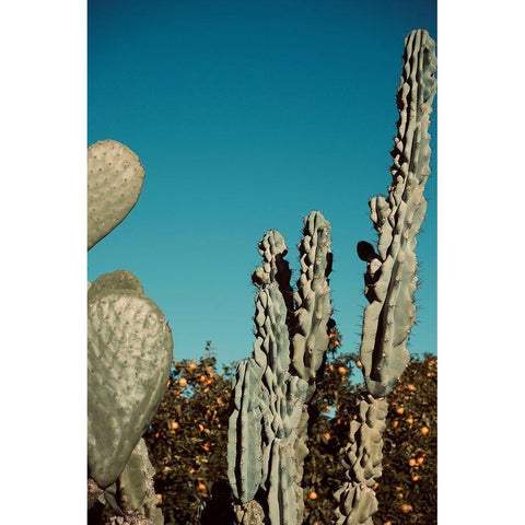Cactus V Black Modern Wood Framed Art Print by Singleton, Ashley
