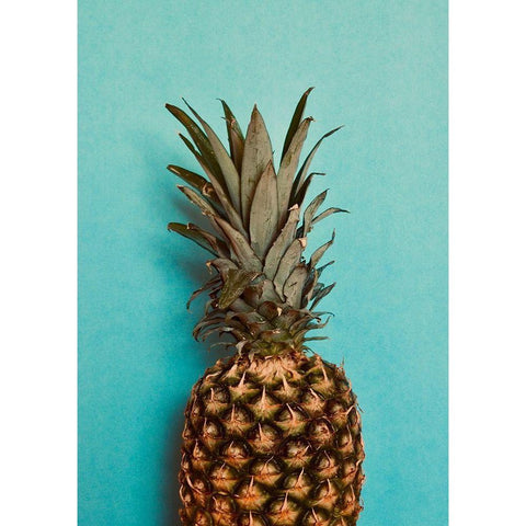 Blue Pineapple Gold Ornate Wood Framed Art Print with Double Matting by Singleton, Ashley