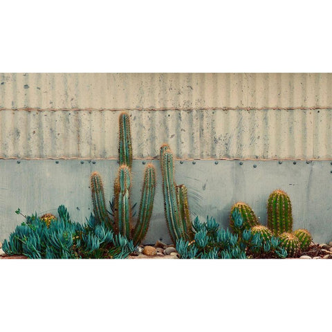 Cactus Garden Black Modern Wood Framed Art Print by Singleton, Ashley