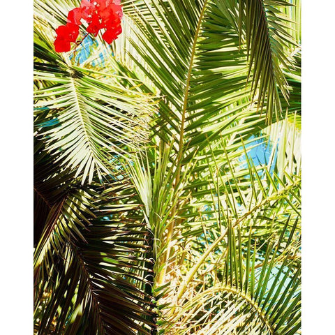 Tropics Gold Ornate Wood Framed Art Print with Double Matting by Singleton, Ashley