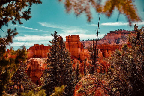 Bryce Canyon Black Ornate Wood Framed Art Print with Double Matting by Singleton, Ashley