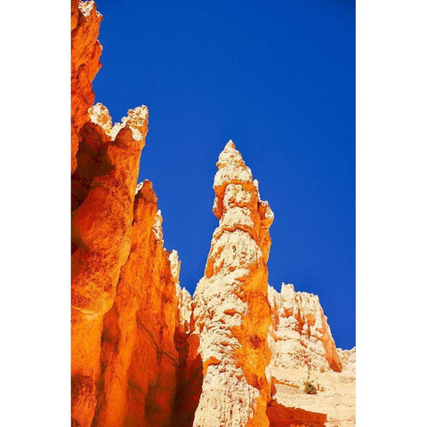 Hoodoo Black Modern Wood Framed Art Print with Double Matting by Singleton, Ashley