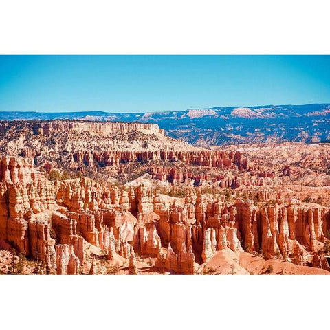Bryce Canyon, Utah Black Modern Wood Framed Art Print with Double Matting by Singleton, Ashley
