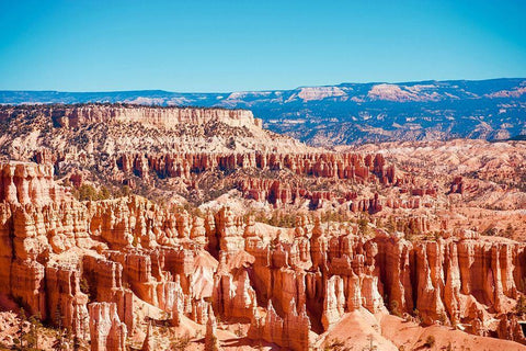 Bryce Canyon, Utah White Modern Wood Framed Art Print with Double Matting by Singleton, Ashley