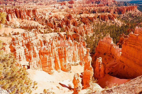 Rooftop Tent White Modern Wood Framed Art Print with Double Matting by Singleton, Ashley