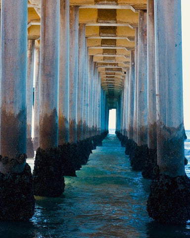 Pier   White Modern Wood Framed Art Print with Double Matting by Singleton, Ashley