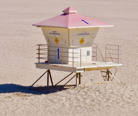 Pink Roof White Modern Wood Framed Art Print with Double Matting by Singleton, Ashley