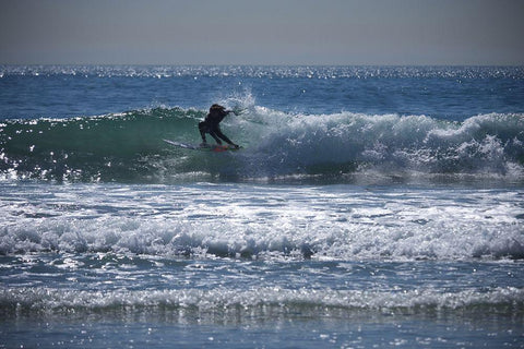 Surfer Buds White Modern Wood Framed Art Print with Double Matting by Singleton, Ashley