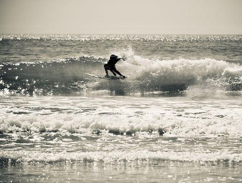 Surfer Buds II Black Ornate Wood Framed Art Print with Double Matting by Singleton, Ashley