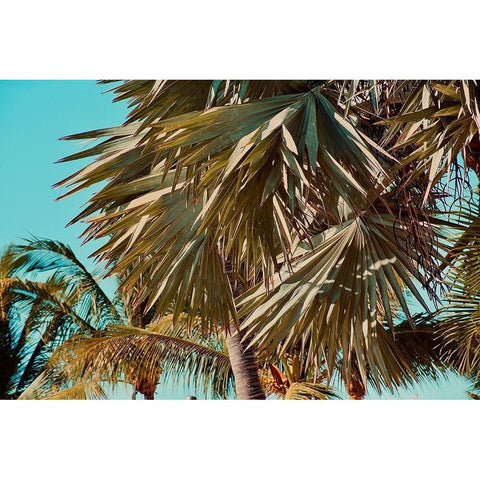 Leaves Black Modern Wood Framed Art Print by Singleton, Ashley