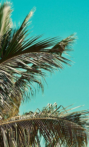 Leaves II White Modern Wood Framed Art Print with Double Matting by Singleton, Ashley