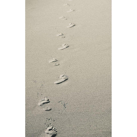 Footprints White Modern Wood Framed Art Print by Singleton, Ashley