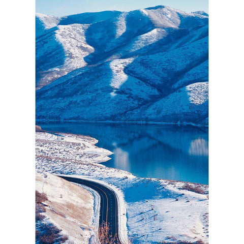 Winter Road II Gold Ornate Wood Framed Art Print with Double Matting by Singleton, Ashley