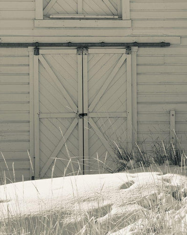 Barn Door Black Ornate Wood Framed Art Print with Double Matting by Singleton, Ashley