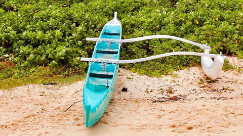 Ship Wreck Black Ornate Wood Framed Art Print with Double Matting by Singleton, Ashley