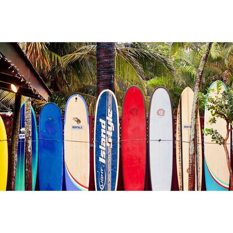 Surf Boards White Modern Wood Framed Art Print by Singleton, Ashley