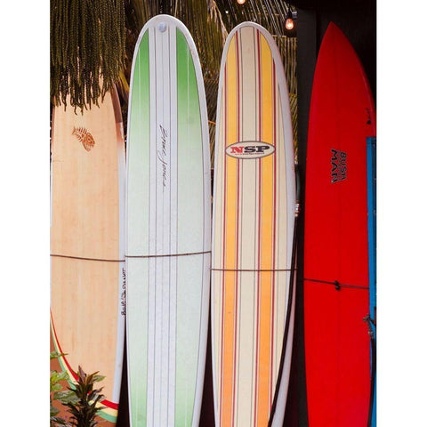 Surf Boards II Black Modern Wood Framed Art Print by Singleton, Ashley