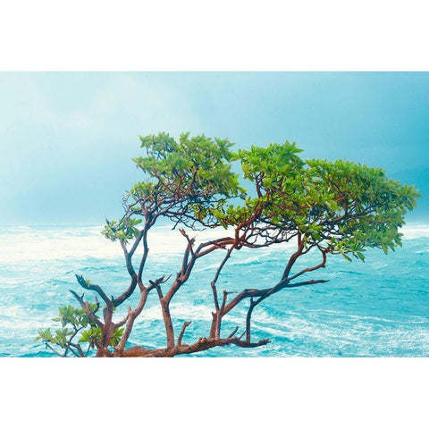 Tropical Trees Black Modern Wood Framed Art Print by Singleton, Ashley