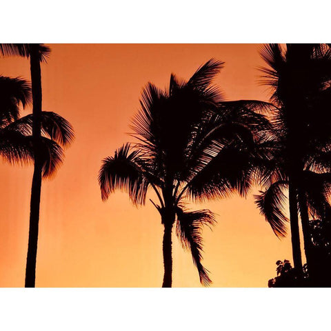 Palms at Sunset Gold Ornate Wood Framed Art Print with Double Matting by Singleton, Ashley