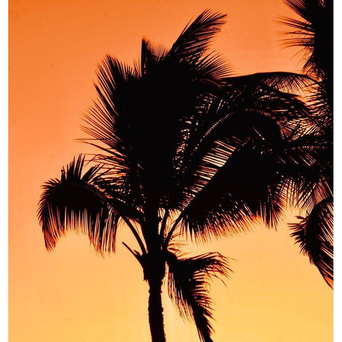 Palms at Sunset II Gold Ornate Wood Framed Art Print with Double Matting by Singleton, Ashley