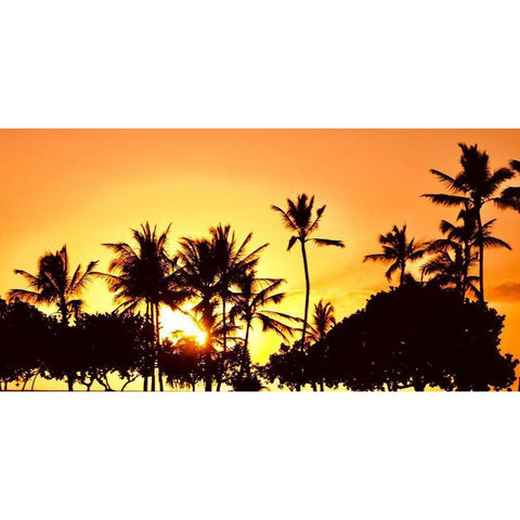 Palms at Sunset III Black Modern Wood Framed Art Print by Singleton, Ashley