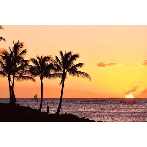 Palms at Sunset IV Gold Ornate Wood Framed Art Print with Double Matting by Singleton, Ashley