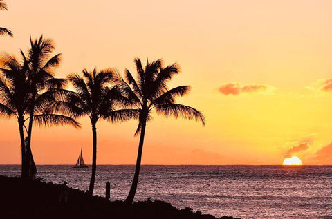 Palms at Sunset IV White Modern Wood Framed Art Print with Double Matting by Singleton, Ashley