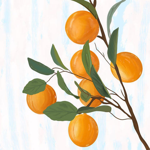 Oranges White Modern Wood Framed Art Print with Double Matting by Singleton, Ashley