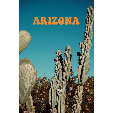 Arizona Black Modern Wood Framed Art Print with Double Matting by Singleton, Ashley