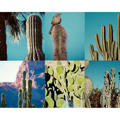 Cactus White Modern Wood Framed Art Print by Singleton, Ashley