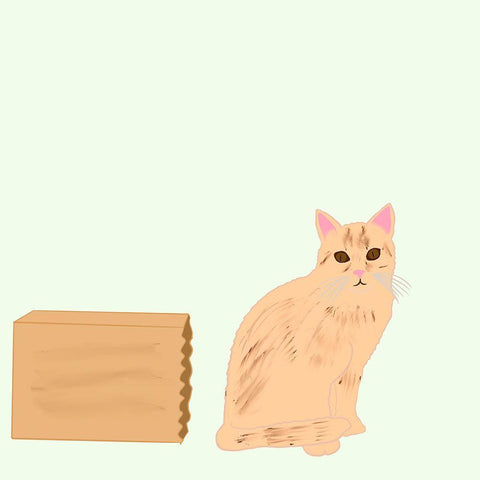 Out of the Box White Modern Wood Framed Art Print with Double Matting by Singleton, Ashley