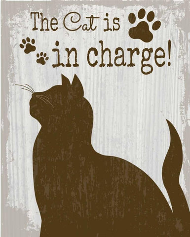 The Cat is in Charge White Modern Wood Framed Art Print with Double Matting by ND Art and Design