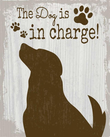 The Dog is in Charge White Modern Wood Framed Art Print with Double Matting by ND Art and Design