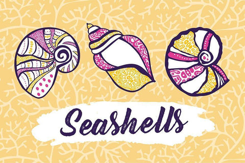 Seashells White Modern Wood Framed Art Print with Double Matting by ND Art and Design