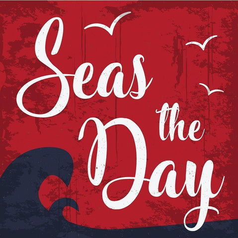 Seas the Day White Modern Wood Framed Art Print with Double Matting by ND Art
