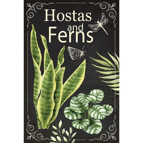 Hostas and Ferns White Modern Wood Framed Art Print by ND Art