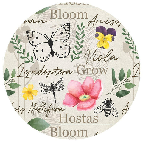 Spring Plate I White Modern Wood Framed Art Print with Double Matting by ND Art