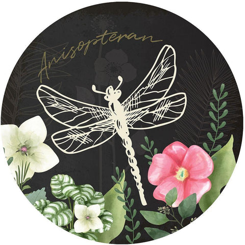 Spring Plate II Black Ornate Wood Framed Art Print with Double Matting by ND Art