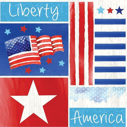 Americana Pattern I Black Modern Wood Framed Art Print with Double Matting by ND Art