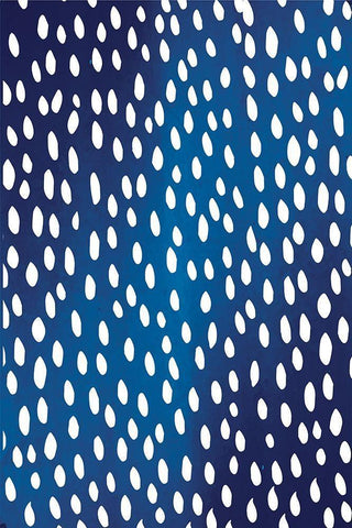 Blue and White III Black Ornate Wood Framed Art Print with Double Matting by ND Art