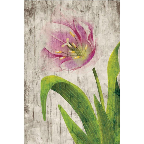 Tulips I White Modern Wood Framed Art Print by ND Art