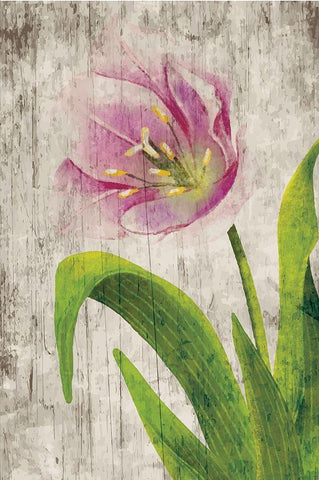 Tulips I Black Ornate Wood Framed Art Print with Double Matting by ND Art