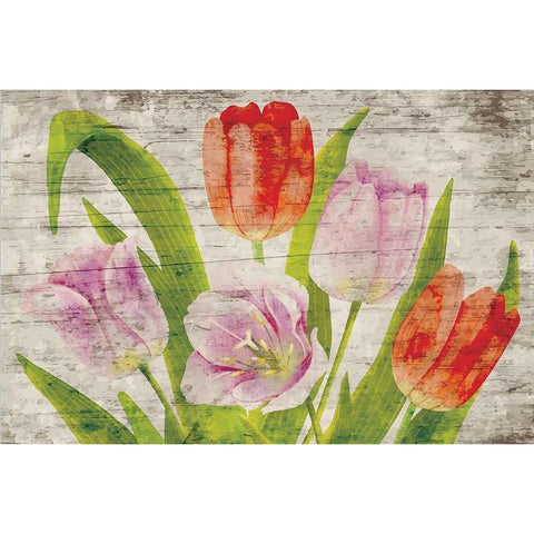 Tulips II White Modern Wood Framed Art Print by ND Art